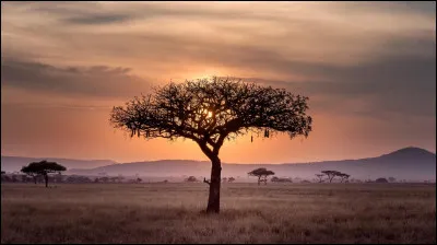 Quelle est ta saison préférée ?