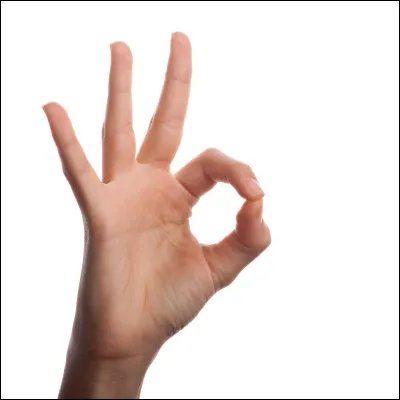 Quel est leur type de poils ?