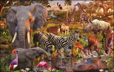 Quel est ton type d'animal préféré ?
 