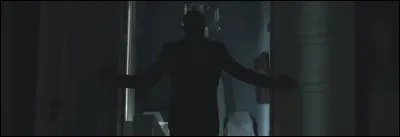 Complétez : 
"Ein schwarzer Schatten liegt auf..."