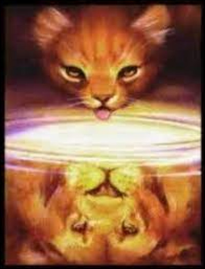 Quelle est la prophétie concernant Étoile de Feu ?