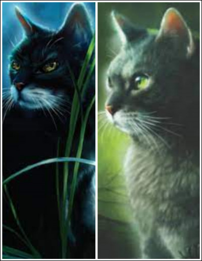 Dans cette prophétie : "Accueillez ce qui dans l'ombre est caché, ainsi le ciel pourra s'éclaircir", est-ce que Petite Brindille et Petite Violette sont "ce qui dans l'ombre est caché" ?