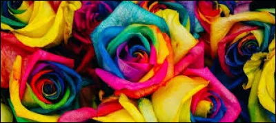 Langue française : Quelle proposition est correctement orthographiée ?