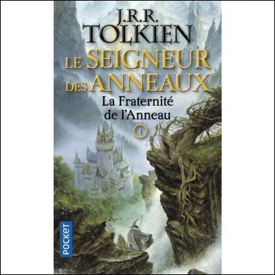 Si tu étais dans un roman, quel rôle aurais-tu ?