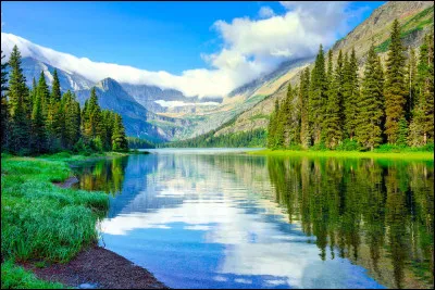 Quel élément préfères-tu ?