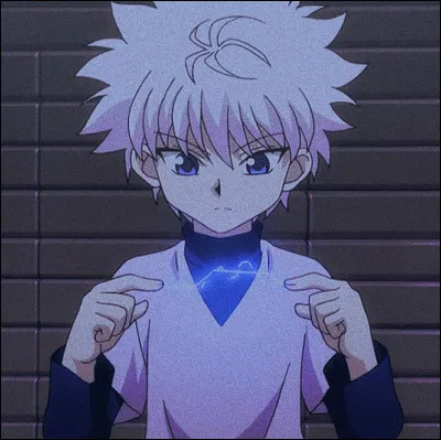 Quel est le m&eacute;tier des parents de Killua ?