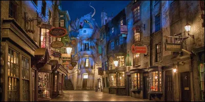 Fred et George ouvrent un magasin de...