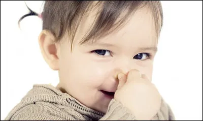 L'odeur des rongeurs peut-elle te déranger ?