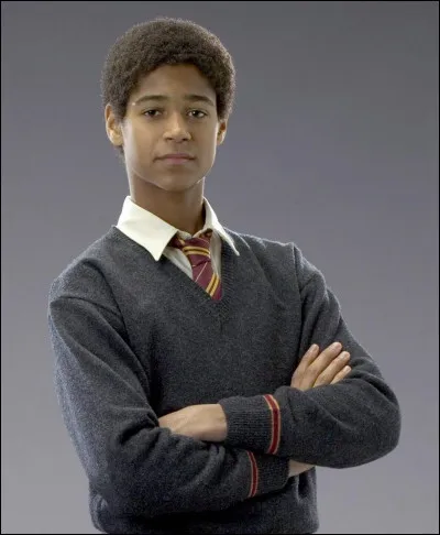 Avec qui se Ginny se marie-t-elle ?