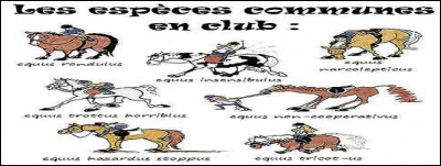 Relevez la proposition des équidés dont le hennissement est le mode d'expression.