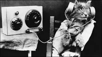 Quel chanteur a repris la chanson "With a Little Help from My Friends " des Beatles sur la scène du Festival de Woodstock en 1969 ?