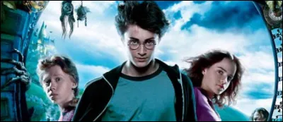 Qui serait ton ami dans Harry Potter ?