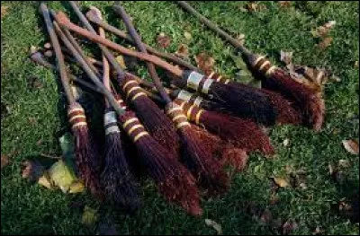 Quel est ton balai préféré ?