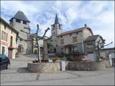 Commune occitane, dans l'arrondissement de Villefranche-de-Rouergue, Saint-Santin se situe dans le département ...