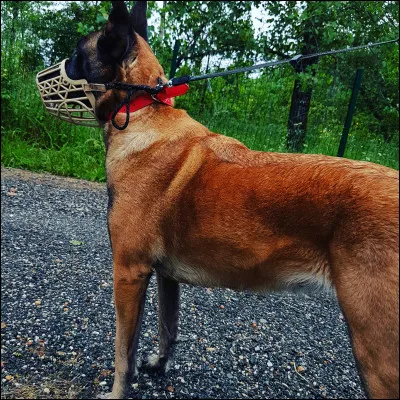 As-tu déjà songé à t'en débarrasser ?