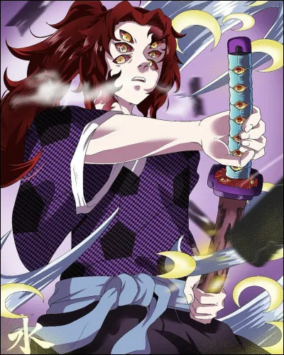 Quel type de Souffle Kokushibo maîtrise-t-il ?