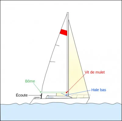 Qu'est-ce que le "Hale-bas" ?