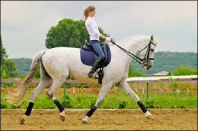 Trotter enlevé sur le bon diagonal signifie :