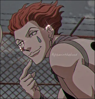 Combien de fois Hisoka a-t-il rat&eacute; l'&eacute;preuve Hunter ?