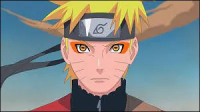 Que veut devenir Naruto ?