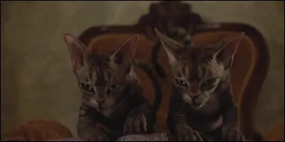 Et pour finir, avec qui sommes-nous particulièrement méchants ?