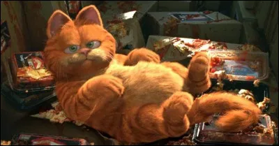 Quel est mon plat préféré ?