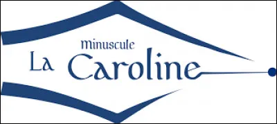 Qu'évoque la "minuscule caroline" ?
