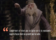 Quiz Harry Potter : Qui a dit quoi ?