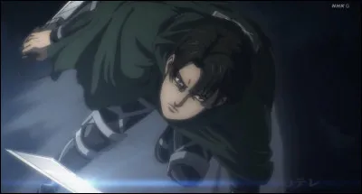 Qui porte le même nom de famille que Livaï ?