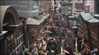 Tu te promènes dans le chemin de Traverse quand soudain le magasin d'accessoires de Quidditch fait une remise de 50 % sur tous les produits. Que fais-tu ?