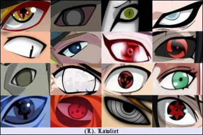 Quelle pupille aimes-tu le plus ?