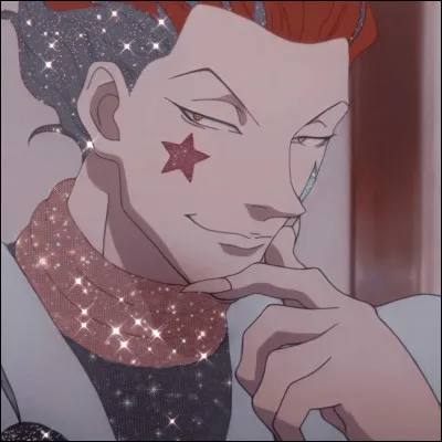 Quel âge Hisoka a-t-il ?
