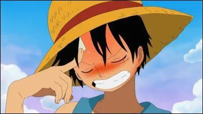 Dans l'animé quel arc suit "Thriller Bark" ?