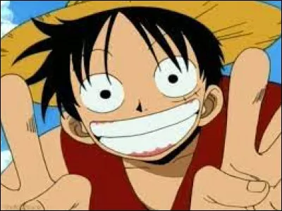 Quel est le premier combat de Luffy ?