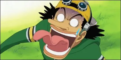 Quel est le surnom d'Usopp ?