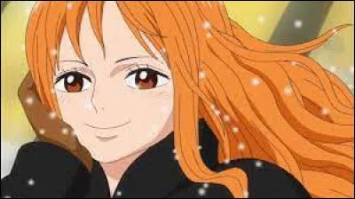 Qui adore Nami ?