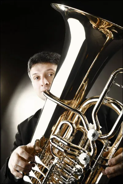 Quel instrument de musique apercevons-nous ici ?