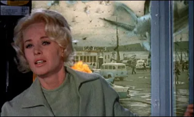 "Les Oiseaux", un des derniers grands classiques du cinéaste, sort sur les écrans en 1963. Quel est le nom de l'actrice interprétant le rôle principal, que nous voyons ici en photo ?