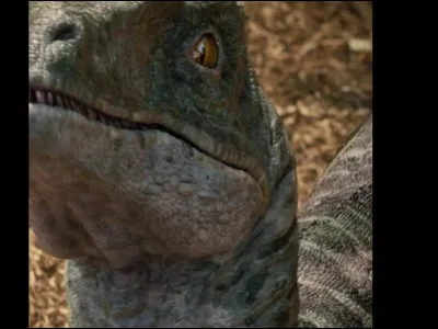 Comment sappelle ce Raptor ?