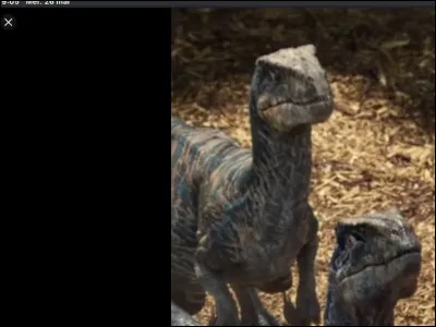 Comment sappelle ce Raptor ?