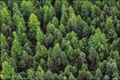 Quel est ton endroit préféré ?