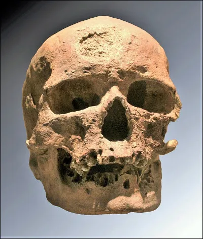 Dans quel département français se trouve Cro-Magnon, site préhistorique qui donne son nom au plus célèbre représentant fossile d'homo sapiens ?