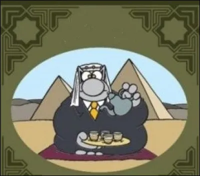 Ce chat est le personnage central du dessinateur belge :