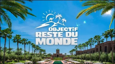 Quel garçon préfères-tu ?