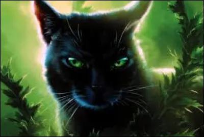 Quelle série littéraire écrite par Erin Hunter raconte les aventures de chats sauvages ?