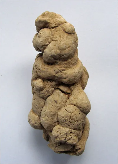 Limon fertile, riche en calcaire, en argile et en quartz, déposé par le vent :