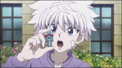 Dans ''Hunter x Hunter'' pourquoi Gon et Kirua veulent-ils devenir hunter ?