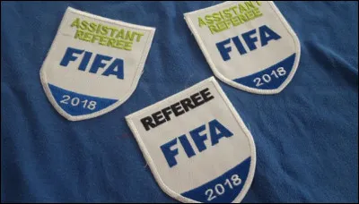 Combien d'arbitres français différents ont été nommés par l'UEFA afin d'officier lors de la compétition ? (On prend en compte tous les arbitres : arbitres centraux, arbitres assistants, arbitres vidéo, arbitres assistants vidéo, arbitres de réserve et arbitres assistants de réserve).
