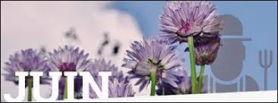 Quelles sont les deux saisons qui couvre le mois de juin ?