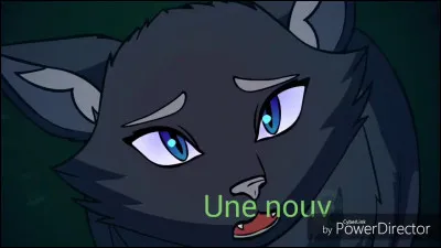 Quel est le dernier chat qu'Étoile Brisée a tué ?